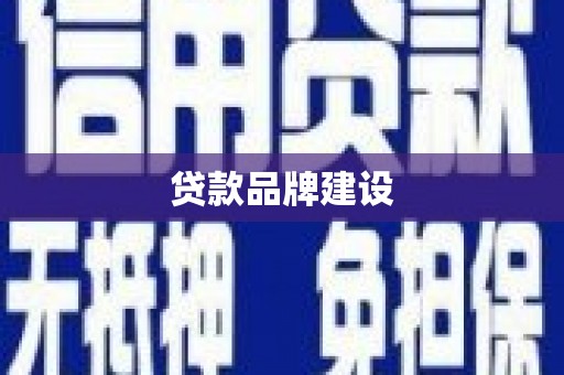 隆昌贷款品牌建设