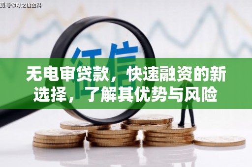 新抚无电审贷款，快速融资的新选择，了解其优势与风险