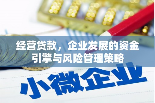 西平经营贷款，企业发展的资金引擎与风险管理策略