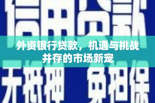 郊区外资银行贷款，机遇与挑战并存的市场新宠