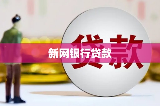 保税区新网银行贷款