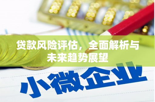 洪梅贷款风险评估，全面解析与未来趋势展望