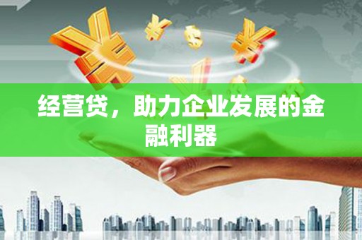 康保经营贷，助力企业发展的金融利器