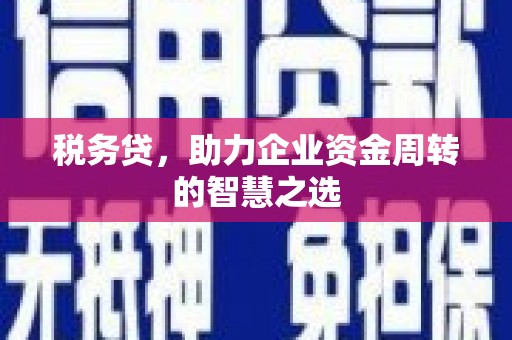 玛曲税务贷，助力企业资金周转的智慧之选