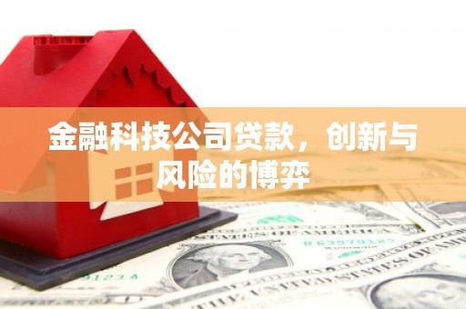 闽侯金融科技公司贷款，创新与风险的博弈