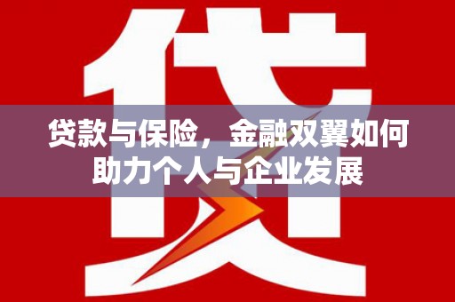 洮北贷款与保险，金融双翼如何助力个人与企业发展
