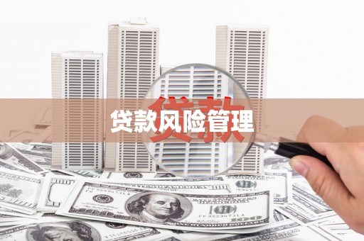 开平贷款风险管理