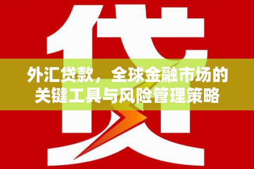 市南外汇贷款，全球金融市场的关键工具与风险管理策略