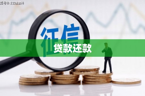 贵德贷款还款