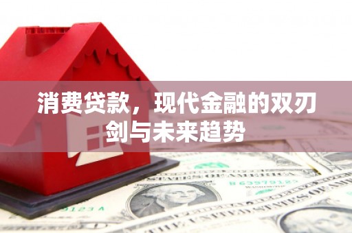 邵阳消费贷款，现代金融的双刃剑与未来趋势