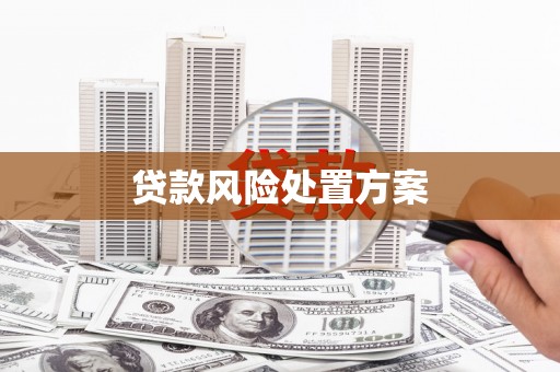 延庆贷款风险处置方案