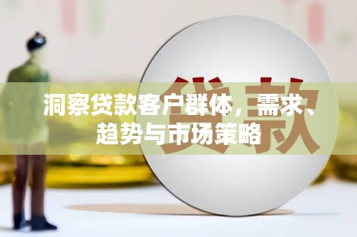 宁城洞察贷款客户群体，需求、趋势与市场策略