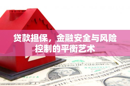 万秀贷款担保，金融安全与风险控制的平衡艺术