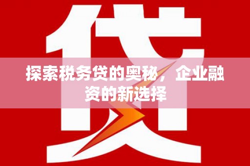 理县探索税务贷的奥秘，企业融资的新选择