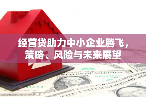 河津经营贷助力中小企业腾飞，策略、风险与未来展望