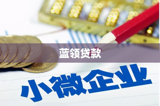 紫阳蓝领贷款
