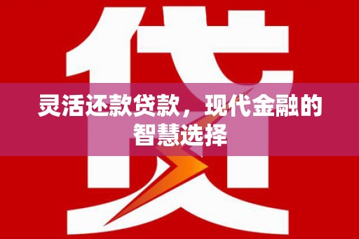 永德灵活还款贷款，现代金融的智慧选择