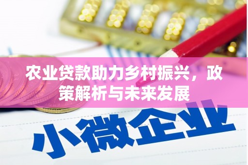 温岭农业贷款助力乡村振兴，政策解析与未来发展