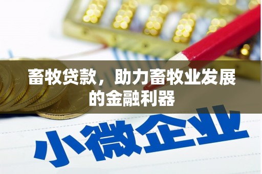 贵溪畜牧贷款，助力畜牧业发展的金融利器