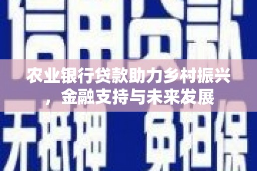 横县农业银行贷款助力乡村振兴，金融支持与未来发展