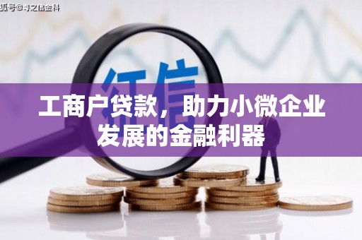 岳塘工商户贷款，助力小微企业发展的金融利器