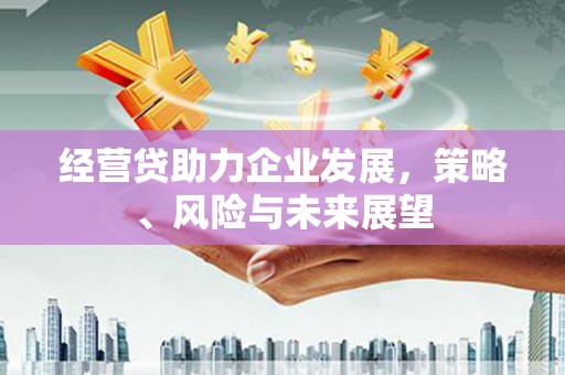 叶县经营贷助力企业发展，策略、风险与未来展望