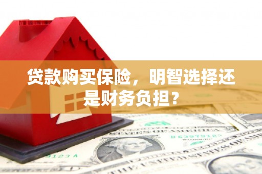 武侯贷款购买保险，明智选择还是财务负担？