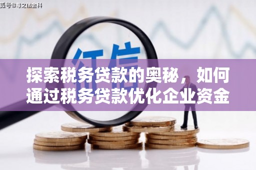 溪口探索税务贷款的奥秘，如何通过税务贷款优化企业资金流