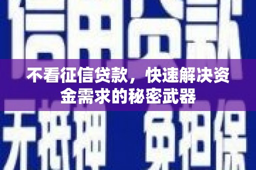 山海关不看征信贷款，快速解决资金需求的秘密武器