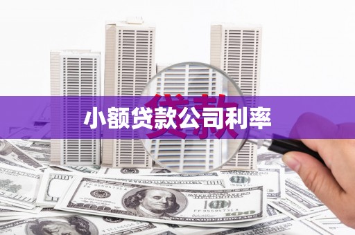 双台子小额贷款公司利率