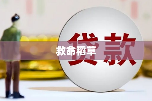 东乌旗救命稻草