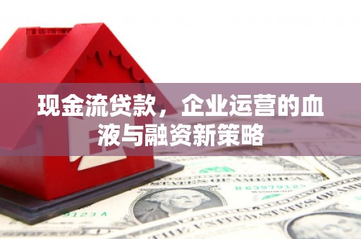 龙文现金流贷款，企业运营的血液与融资新策略