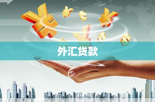 浉河外汇贷款