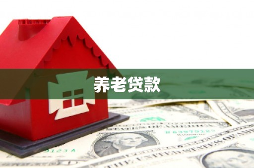 东西湖养老贷款
