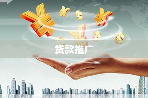 金阳贷款推广