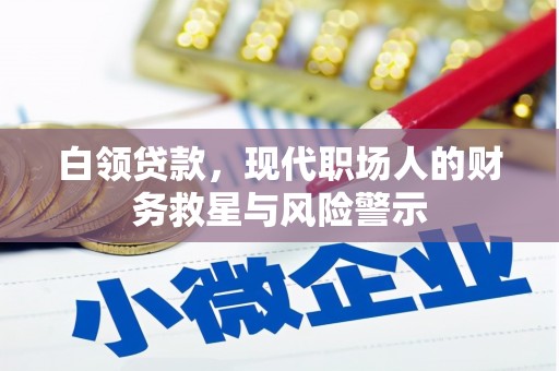 阜新白领贷款，现代职场人的财务救星与风险警示