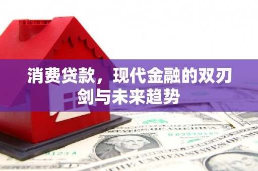 隆回消费贷款，现代金融的双刃剑与未来趋势