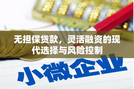 高邮无担保贷款，灵活融资的现代选择与风险控制