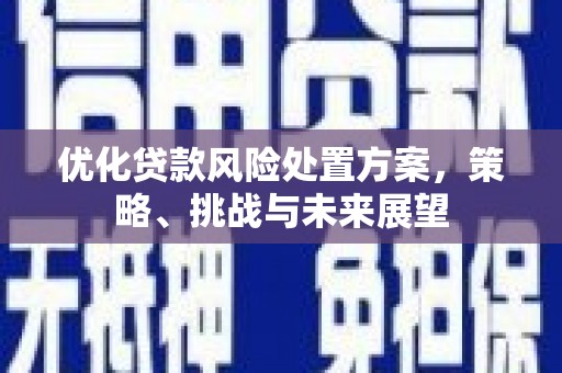海北优化贷款风险处置方案，策略、挑战与未来展望
