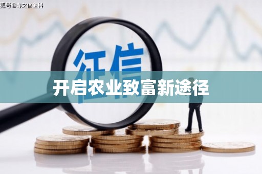 印台开启农业致富新途径