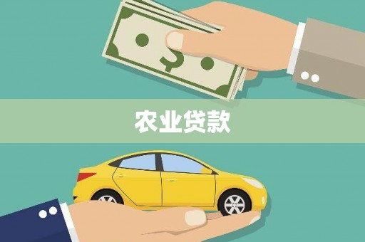 柳南农业贷款