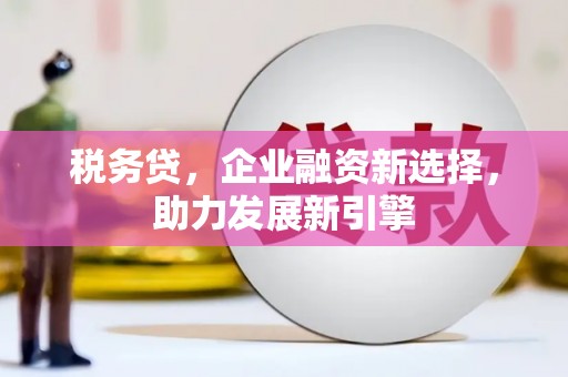 施甸税务贷，企业融资新选择，助力发展新引擎