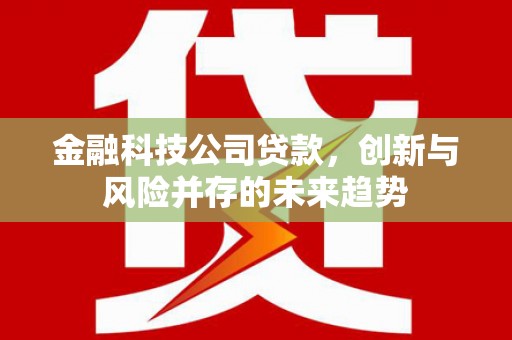 公馆金融科技公司贷款，创新与风险并存的未来趋势