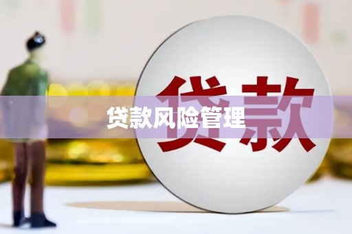 胶州贷款风险管理