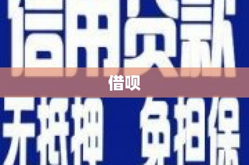 水林借呗