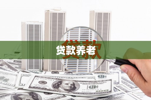 顺昌贷款养老
