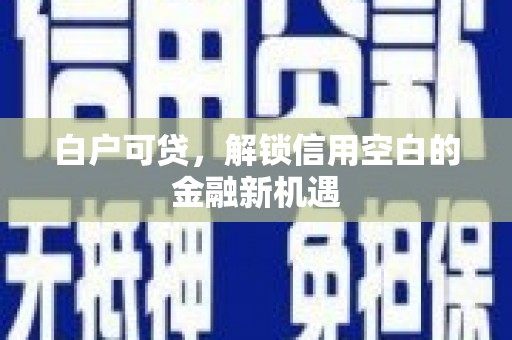 潮州白户可贷，解锁信用空白的金融新机遇