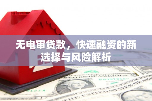 芙蓉无电审贷款，快速融资的新选择与风险解析