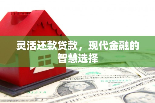 安阳灵活还款贷款，现代金融的智慧选择