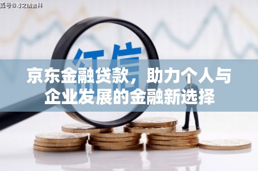 泌阳京东金融贷款，助力个人与企业发展的金融新选择